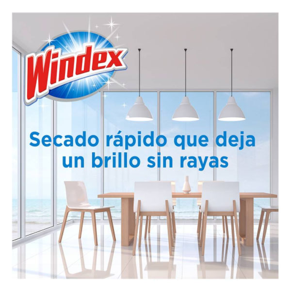 Windex® Limpiador de Vidrios Gal + Atomizador 640ml | 13533