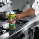 Ajax Bicloro 582 gr / 1 pieza 10089