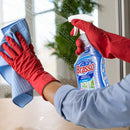 Brasso Limpia Vidrios con Atomizador de 650 ml / 1 pieza 20634