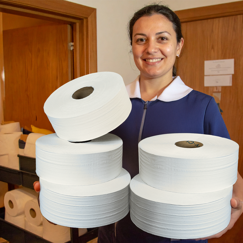Pétalo Higiénico Jumbo Mr 500 mt | Caja 6 rollos 90552