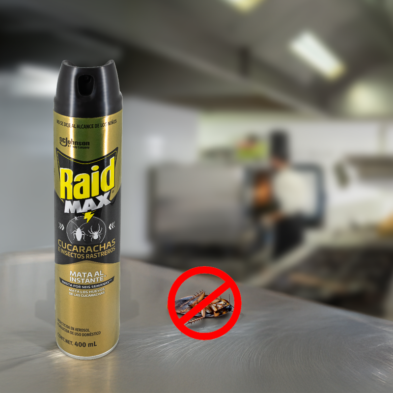 Raid Max 400 ml / 1 pieza 03596