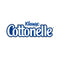 Kleenex Cottonelle Toalla Interdoblada Blanca / Caja 20 pqts 92230